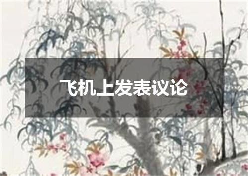 飞机上发表议论