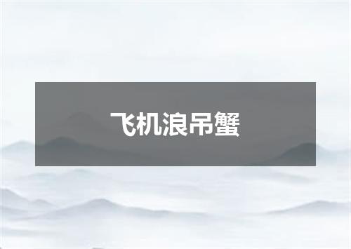 飞机浪吊蟹