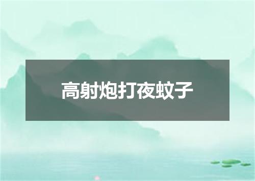 高射炮打夜蚊子