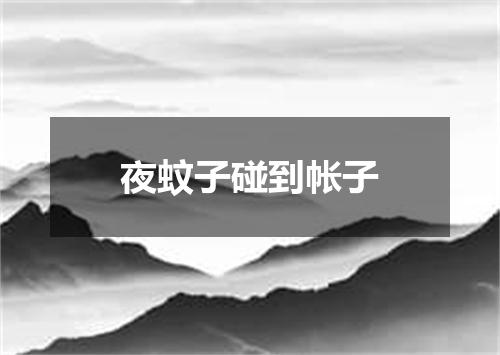 夜蚊子碰到帐子
