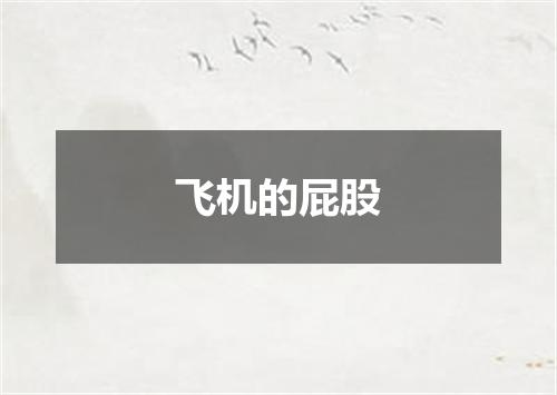 飞机的屁股