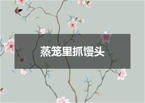 蒸笼里抓馒头