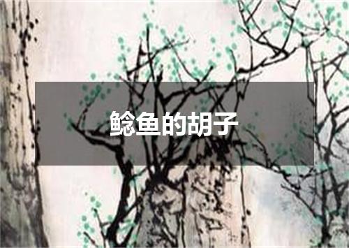 鲶鱼的胡子