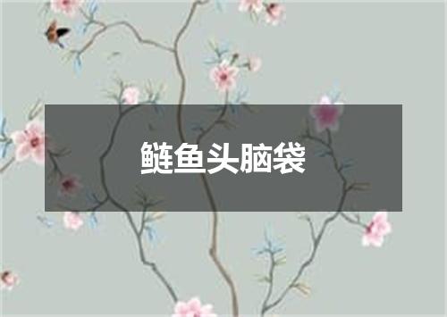 鲢鱼头脑袋