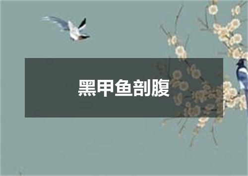 黑甲鱼剖腹