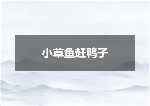 小草鱼赶鸭子