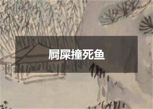 屙屎撞死鱼
