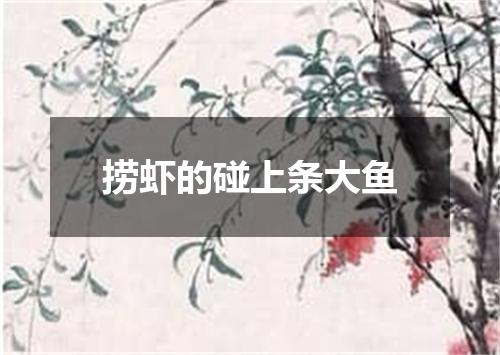 捞虾的碰上条大鱼