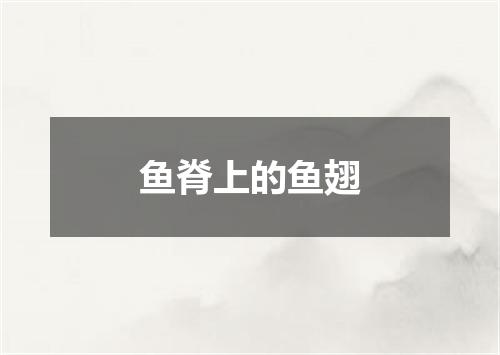 鱼脊上的鱼翅