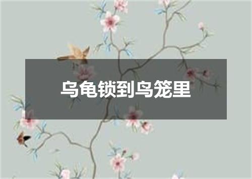 乌龟锁到鸟笼里