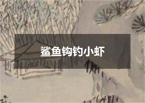 鲨鱼钩钓小虾