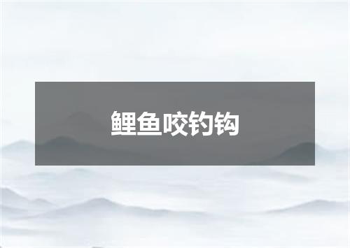 鲤鱼咬钓钩