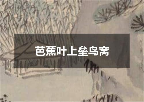 芭蕉叶上垒鸟窝
