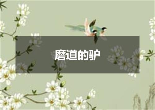 磨道的驴