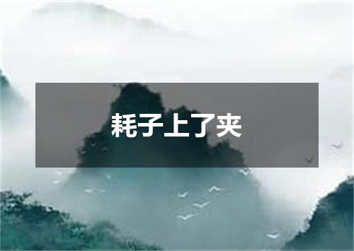 耗子上了夹