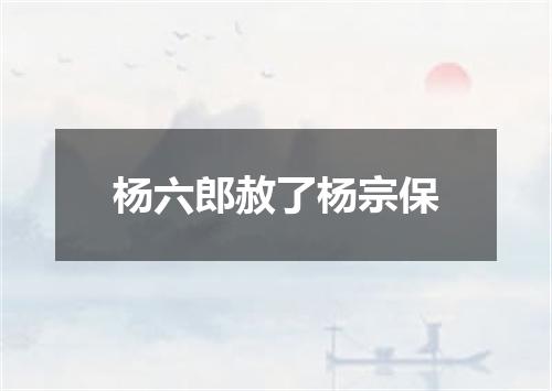 杨六郎赦了杨宗保