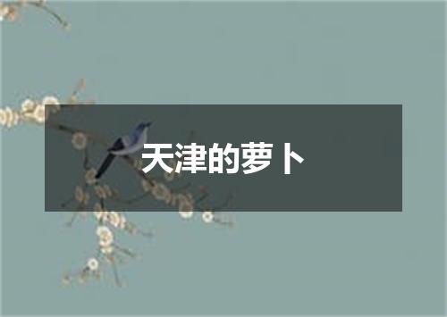 天津的萝卜
