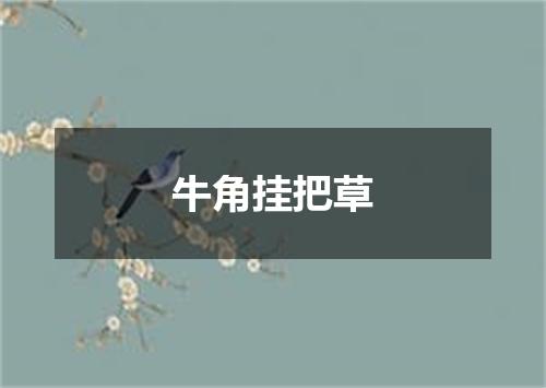 牛角挂把草