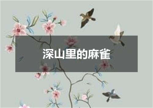 深山里的麻雀