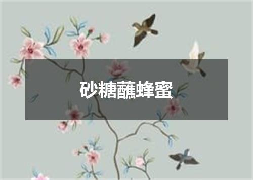 砂糖蘸蜂蜜
