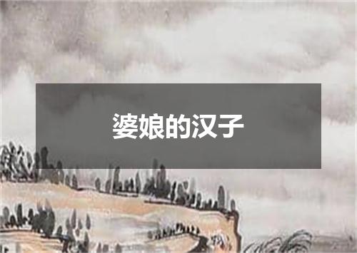 婆娘的汉子