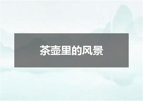 茶壶里的风景