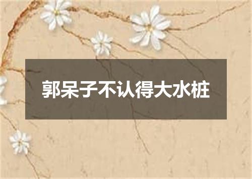 郭呆子不认得大水桩