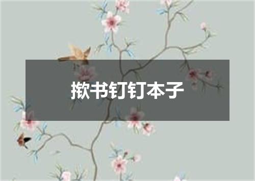 揿书钉钉本子