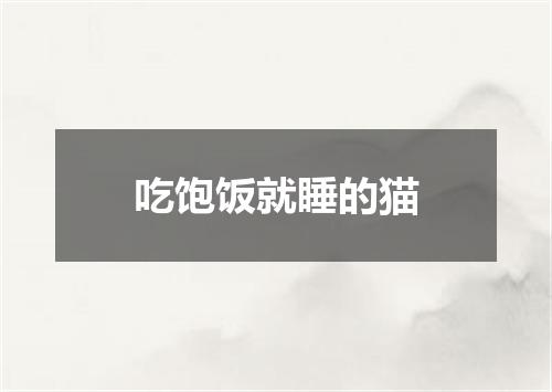 吃饱饭就睡的猫