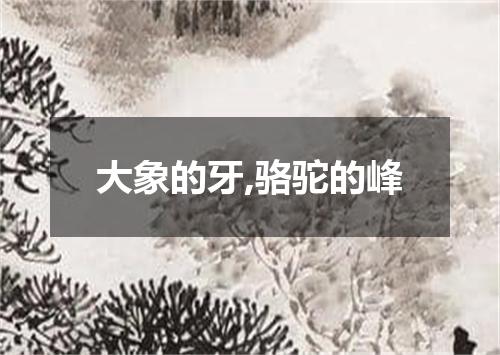 大象的牙,骆驼的峰