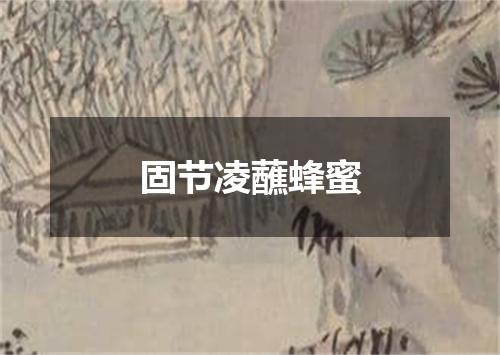 固节凌蘸蜂蜜