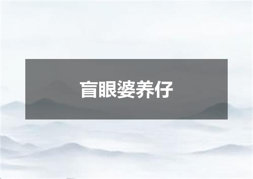 盲眼婆养仔