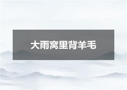 大雨窝里背羊毛