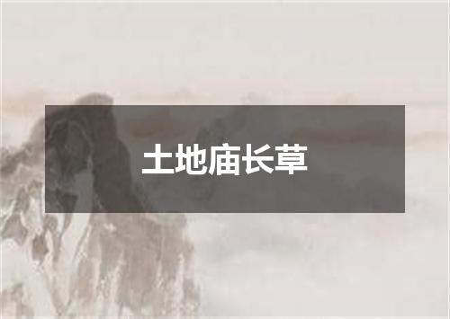 土地庙长草