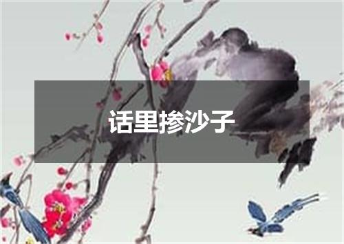 话里掺沙子