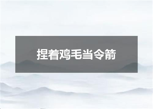 捏着鸡毛当令箭
