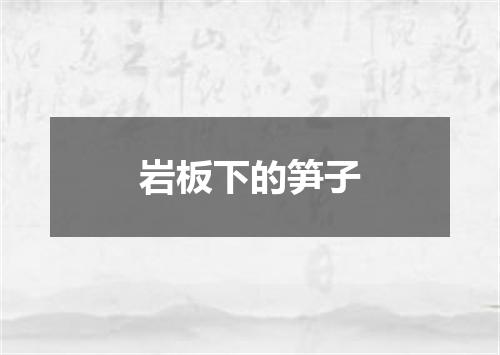 岩板下的笋子