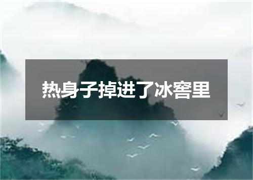 热身子掉进了冰窖里