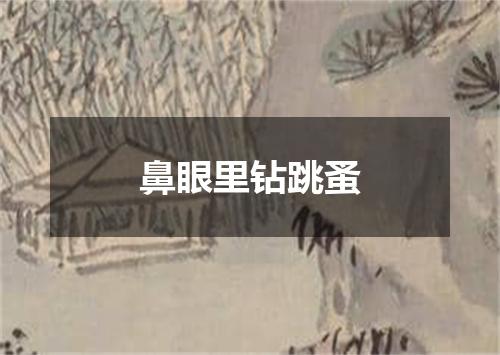 鼻眼里钻跳蚤