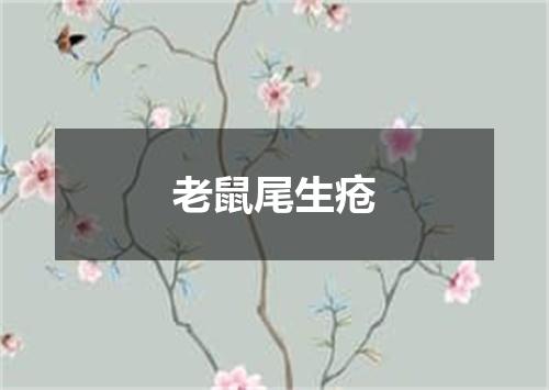 老鼠尾生疮