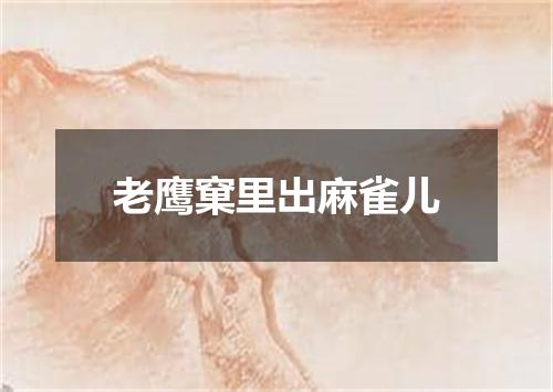 老鹰窠里出麻雀儿