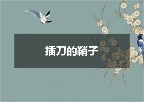 插刀的鞘子