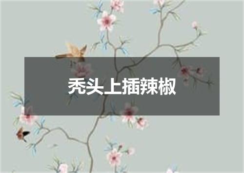 秃头上插辣椒
