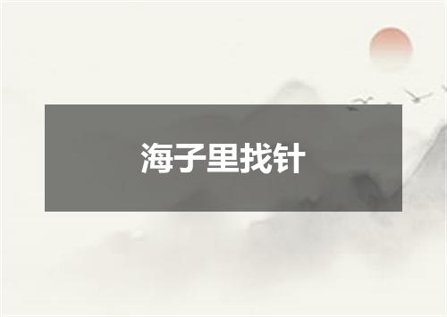 海子里找针