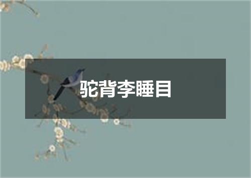 驼背李睡目