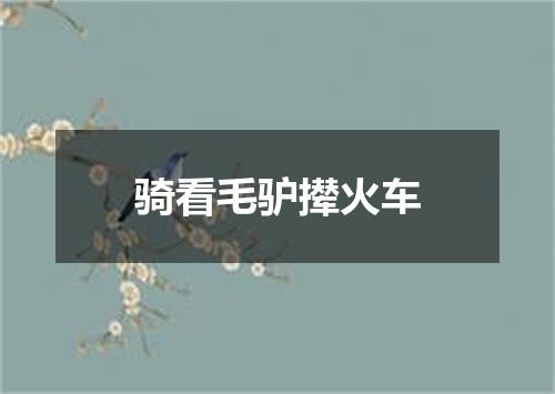 骑看毛驴撵火车