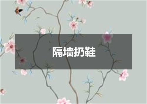 隔墙扔鞋