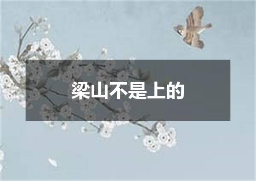 梁山不是上的