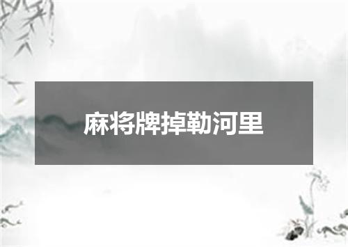 麻将牌掉勒河里