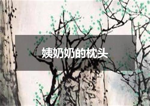 姨奶奶的枕头
